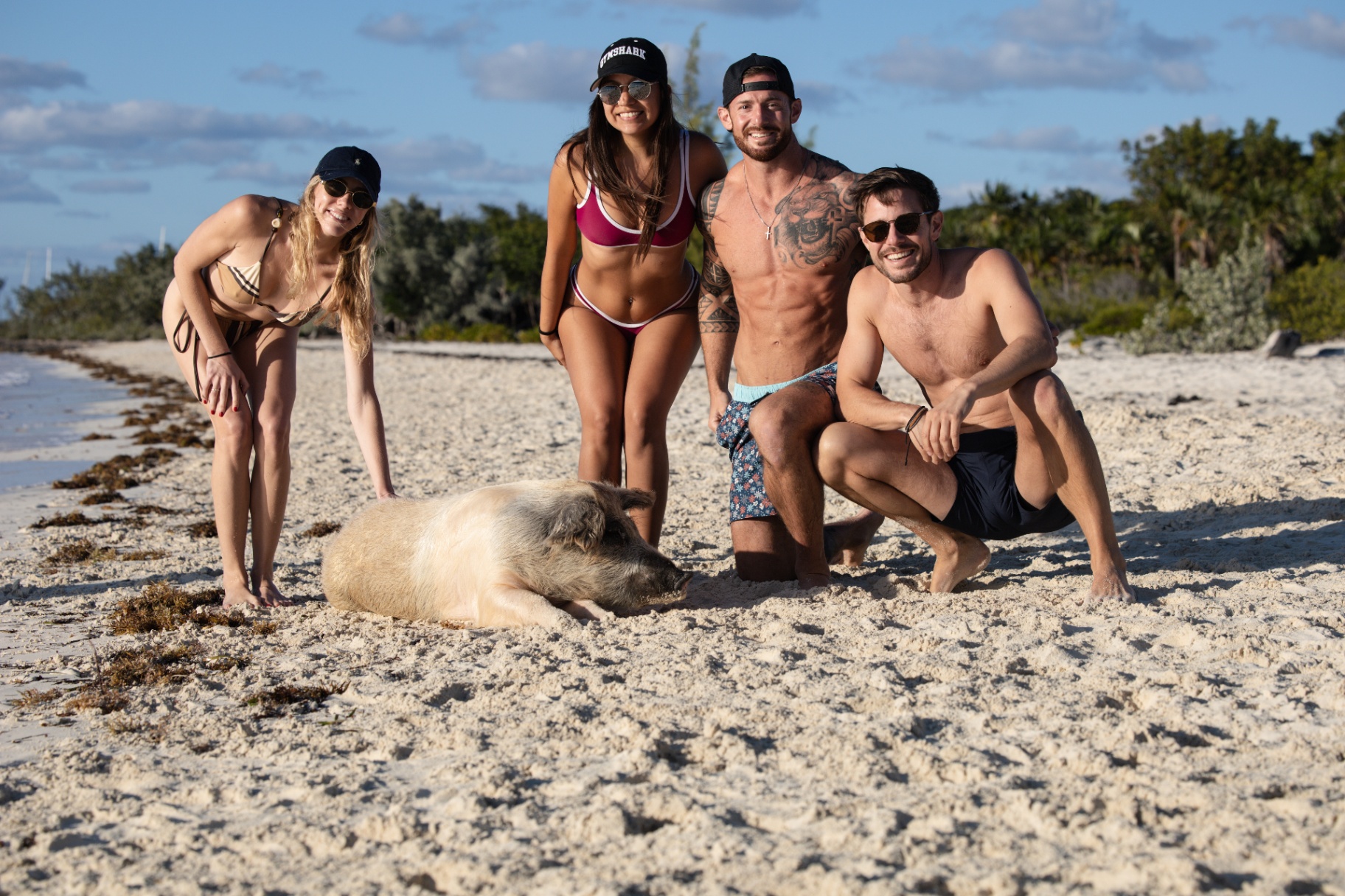 Guests posing with a swimming pig on a Bahamian beach