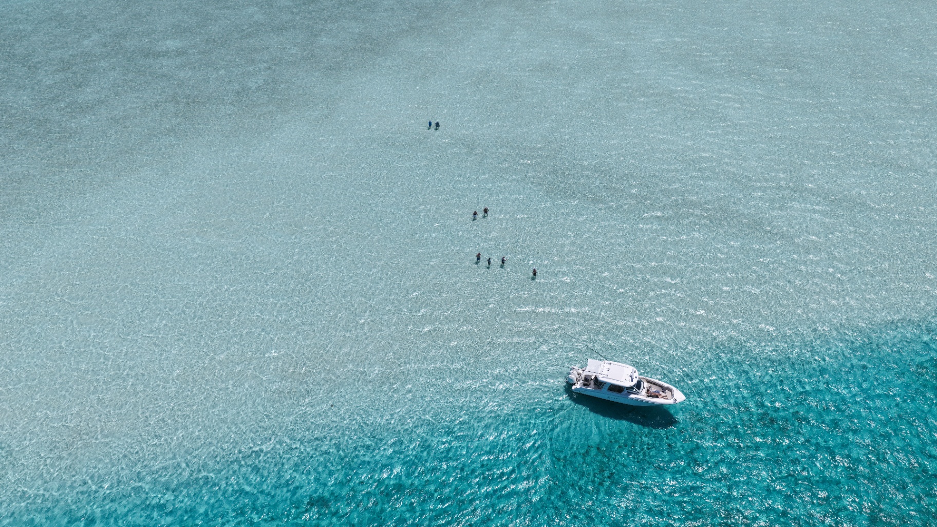Guests wading a shallow Bahamian sandbar