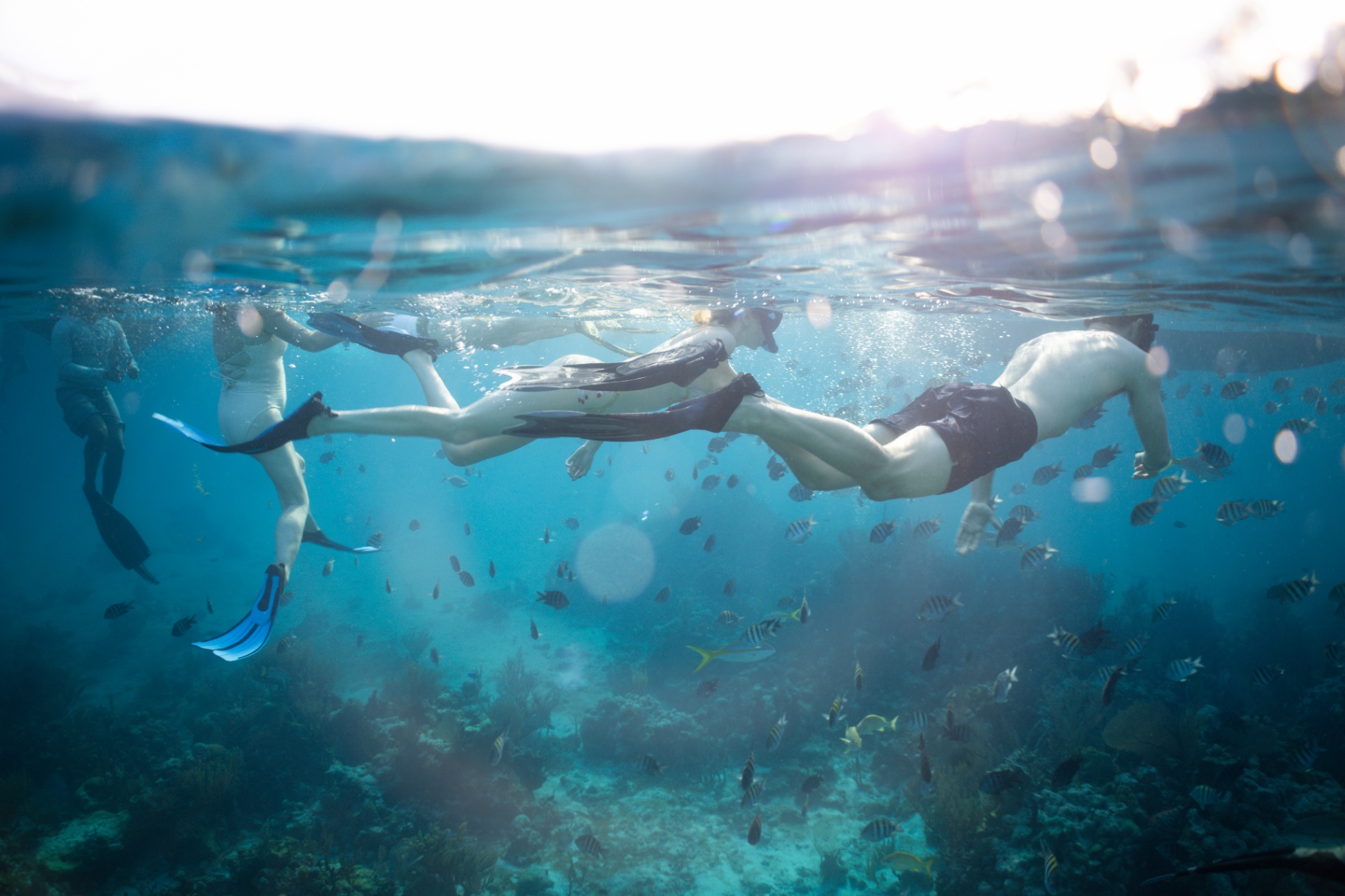 Group snorkeling over a vibrant reef at sunset